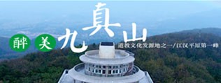 公女乱免费网址区