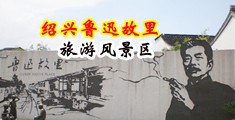 骚插视频中国绍兴-鲁迅故里旅游风景区