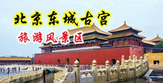 小伙操逼视频中国北京-东城古宫旅游风景区